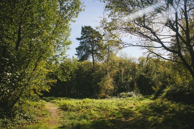 Walton on the hill Common