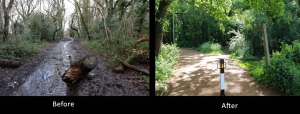 Burgh heath path 