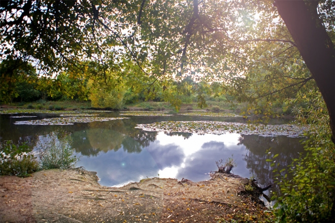 Riverside garden park, Horley